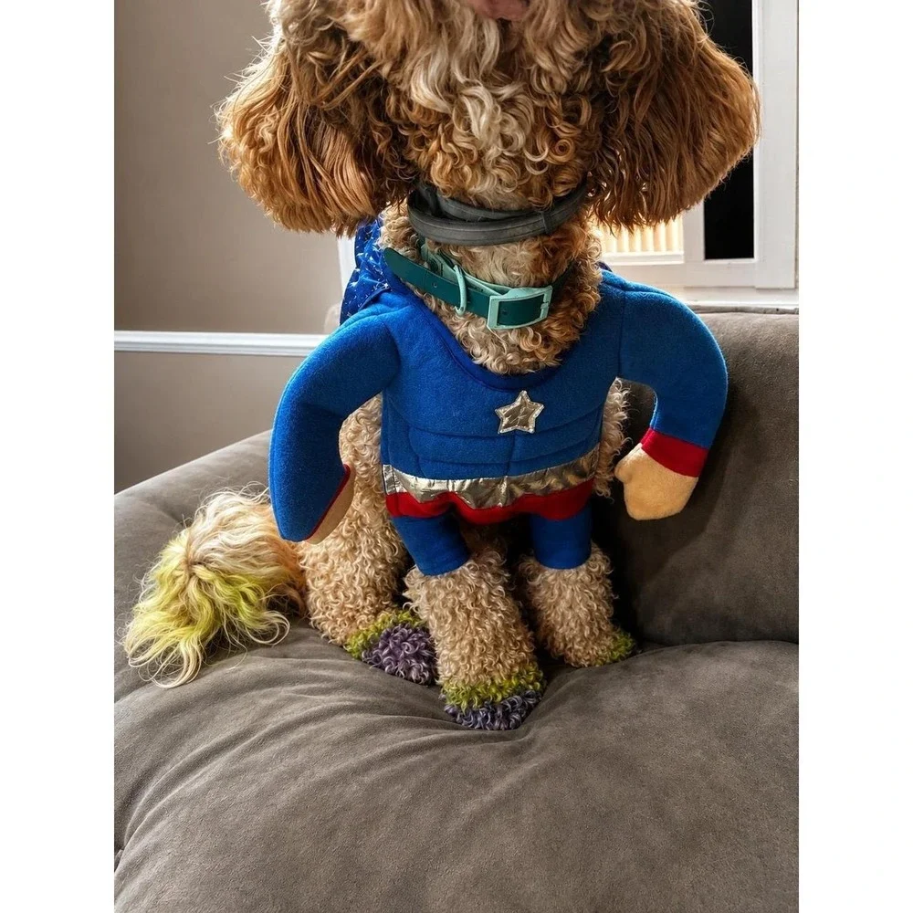 Dog Superhero Costume Cape and Shirt (Small)